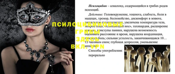скорость Алексеевка