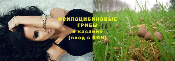 таблы Алексин